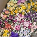 화인크리닉센터 이미지