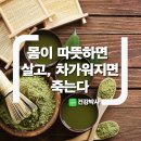 몸이 따뜻하면 살고, 차가워지면 죽는다 이미지