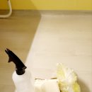 행운동-43 이미지