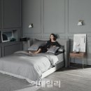 알레르망 이미지