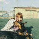 제일사랑 이미지