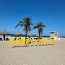 서피비치(surfyy beach) | 양양 여행 아이와 가볼만한곳 이국적인 핫플 서피비치 솔직 후기.
