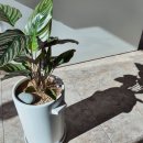 리스타트 안경 이미지