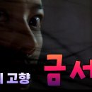 금서 이미지