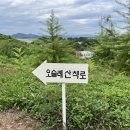 오슬레