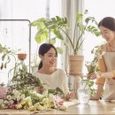 서울플라워 네이버블로그