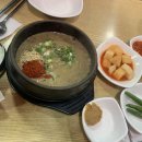 제주도 여행이라 마씸 2