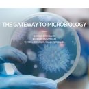 에이티에스코리아 이미지