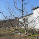 구례농장 이미지