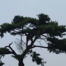 행복동산 Daum카페