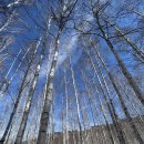 뒷나루 스테이 이미지