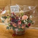 블로그 주간일기 챌린지 11월 4주차, 머리염색, 오랫만에 애슐리, 아빠생신