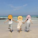 창천목장 | 🍊제주도 2박3일 여행 일정표 (모녀여행 ver.) | 감성카페, 맛집, 힐링코스