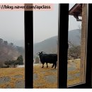 태화 목장 이미지