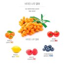 마이비누