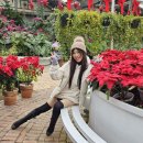 서울댄스스포츠학원 이미지