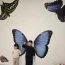 허브 식물과 향기의 이용 | 남원 지리산 바래봉 눈썰매장, 그냥 가면 손해? 실내 놀이터+나비 축제까지 뽕 뽑는 루트 (2026 최신)