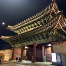 연화 | 창경궁 야간개장 물빛연화 솔직 후기 및 예매 방법