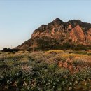 산방산의봄 이미지