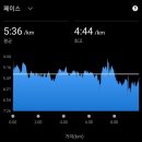 바라카 | 바라카 마라톤 후기 10km 한시간 이내 완주 성공 휴가 성공