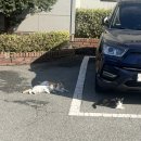 메트로 해물아구찜 | 2025 스물다섯번째 daily ㅣ집밥해먹기,천안배달맛집추천