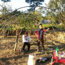 사니조아 이미지