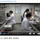 꿈꾸는 굼벵이