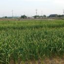 소만농장 이미지