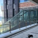 베이시티 동물병원 이미지