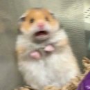 목화예식장앞(40416) | w2. 화이트홀 강경파 블랙홀 계약하다!!! | 목화예식장 투어 | 아모르홀,벨리스홀 대관료 공유 (feat...