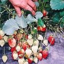 자연과기술(주) 이미지