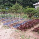 못골농장 이미지