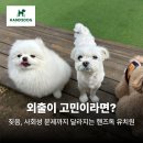 BG독케어센터 | 양산반려동물과 외출이 고민이라면? 강아지 짖음, 사회성 문제까지 달라지는 핸즈독 애견 유치원 이야기