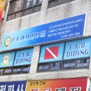 C.E.O.DIVING 이미지