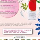 맘소프트
