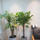 예온정신건강의학과의원 이미지