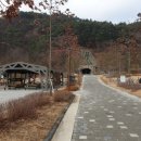 효석문학100리길 제5-2구간 이미지