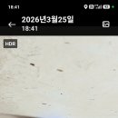 홈피아인테리어