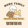 멍패밀리 인천애견유치원 애견호텔 이미지