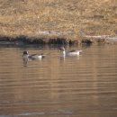 바다랑 파도랑 이미지