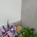 휴안마토피아 이미지