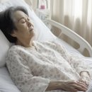 경기도 수원시 팔달구 경수대로565번길 네이버블로그