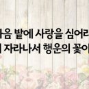 콤파소