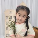 아동복 브랜드 마리떼 키즈 여아옷 여름 키즈 반팔티 등원룩 코디