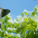 비산6동 행정복지센터 이미지