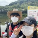 섬진강 찔레꽃 언덕 이미지