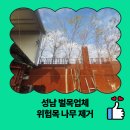 서판교로32번길 | 성남 벌목업체 위험목 나무 제거