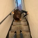 미가퀸 이미지