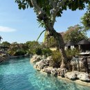 코러스빌라 | 신행일기 #6-1 아야나 풀빌라 발리 신혼여행 아야나 투어 수중 마사지 스파 온더록스 차이나 레스토랑...