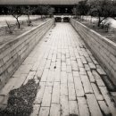 녹산사슴 이미지